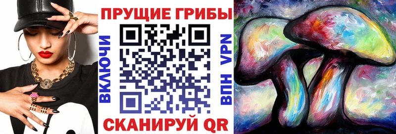 цена наркотик  Дмитриев  Галлюциногенные грибы MAGIC MUSHROOMS 